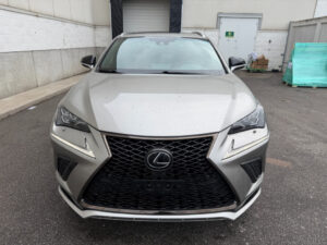 Auto Sales in Georgia 2019 Lexus NX 300 FSPORT RED INTERIOR AWD - 21